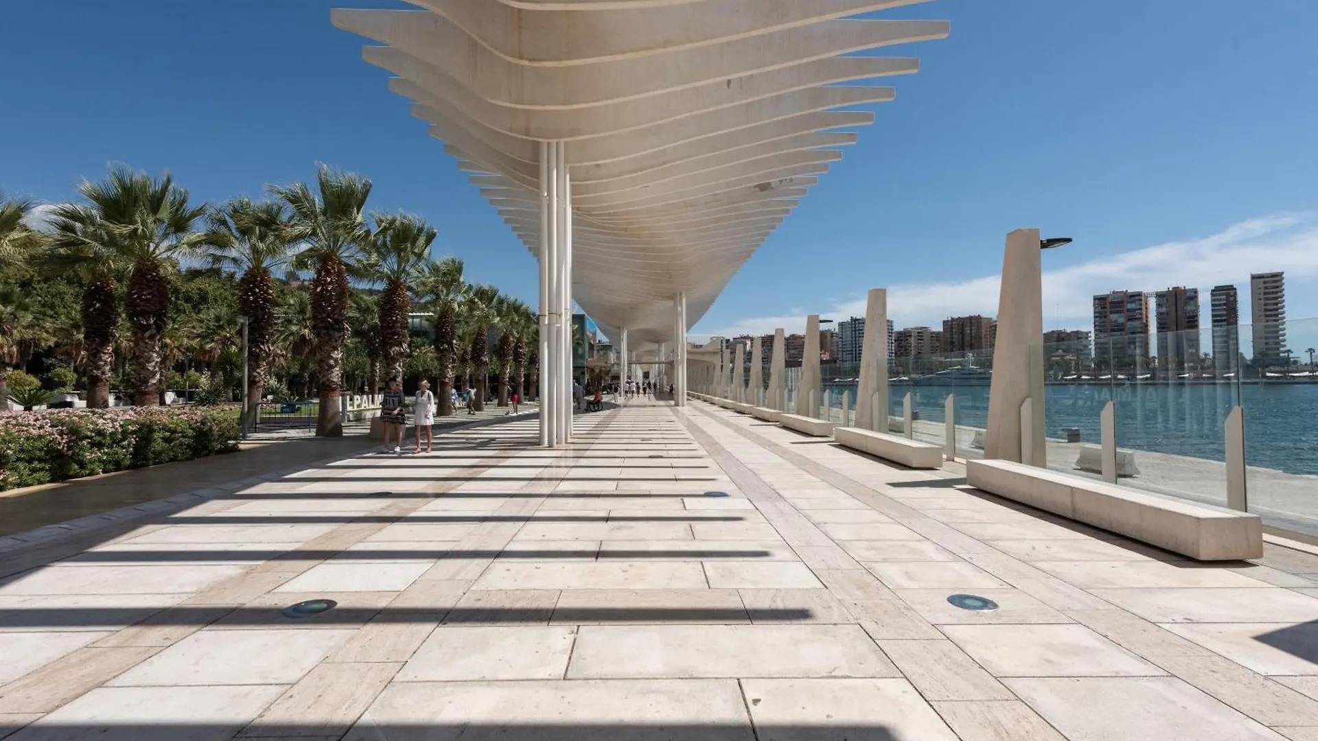 Pineapple Trinidad Grund 8 Apartment Malaga Spain